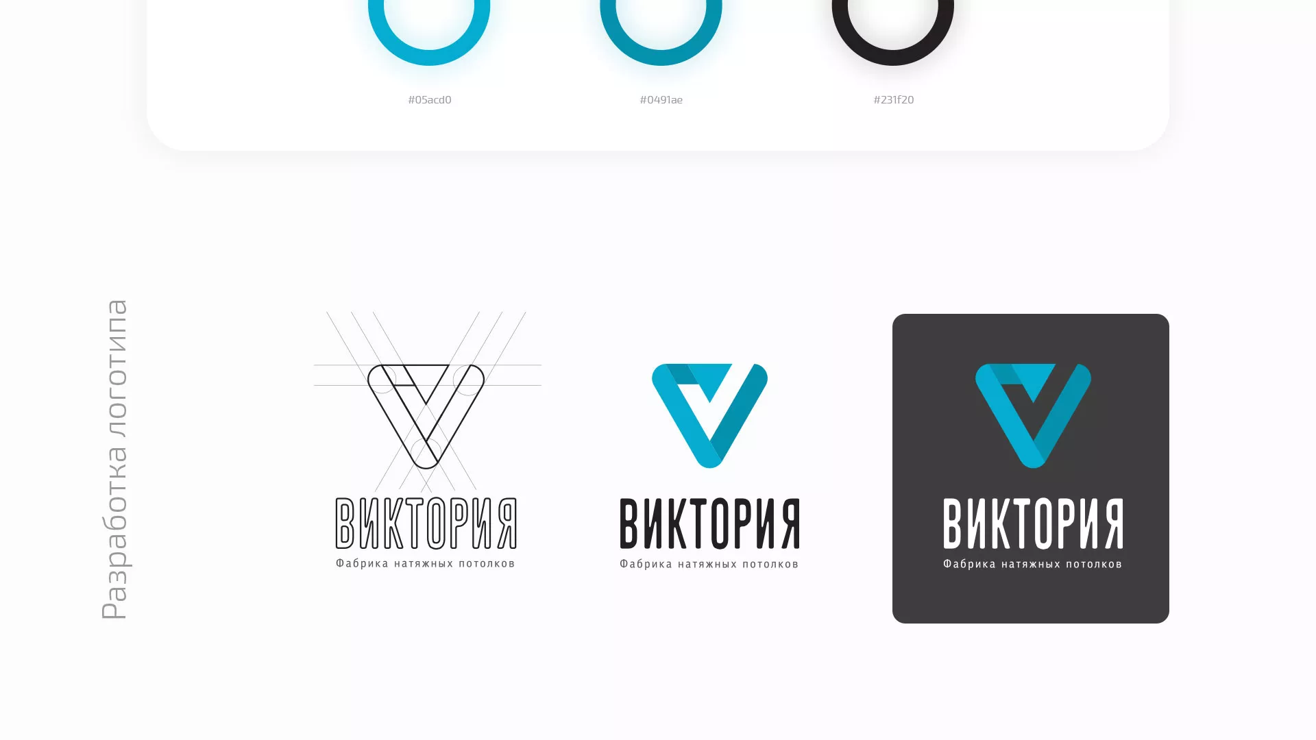 Разработка фирменного стиля компании по продаже и установке натяжных потолков в Заозёрске