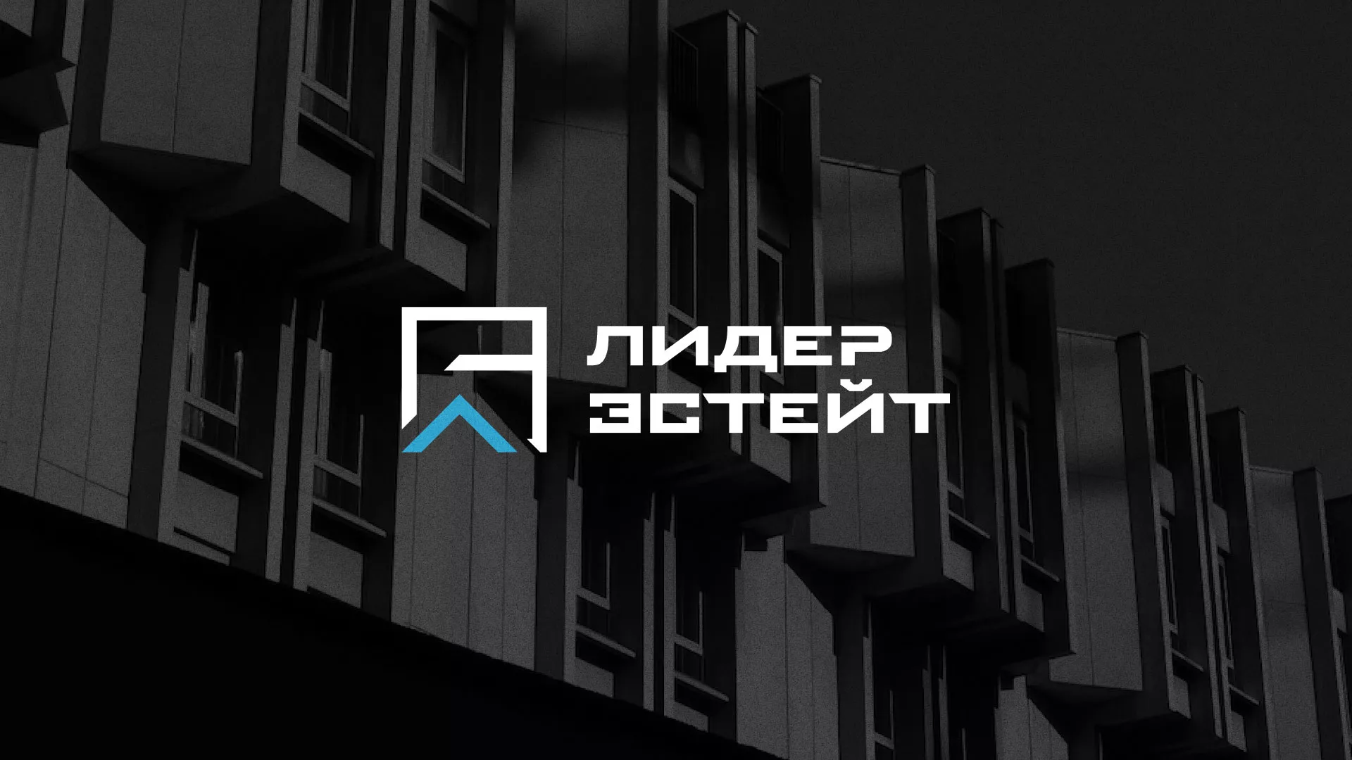 Разработка логотипа агентства недвижимости «Лидер Эстейт» в Заозёрске