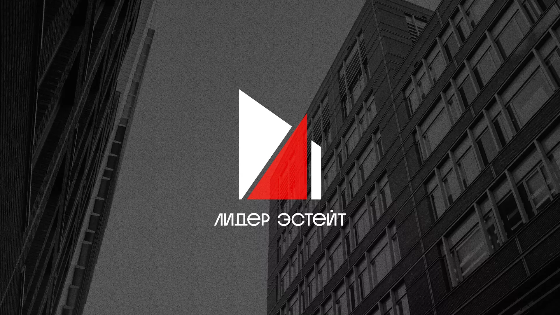 Сделали логотип для агентства недвижимости «Лидер Эстейт» в Заозёрске